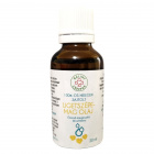 Bálint Cseppek Ligetszépeolaj (doboz nélkül) 30ml 