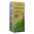 HerbaClass Astragalus kivonat 300ml - kiarusítás 