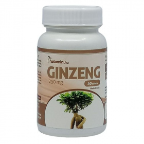 Netamin Ginzeng 250mg tabletta 40db - kifutó