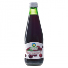 Biofood bio 100% tőzegáfonyalé 300ml 