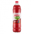 Jana jeges tea - erdei gyümölcs, áfonya 1500ml 