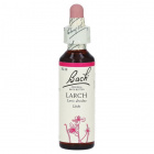 Bach Nr.19. Larch virágesszencia 20ml 