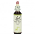 Bach Nr.37. Wild Rose virágesszencia 20ml 