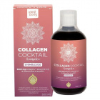 Idealbody Collagen Cocktail komplex - gyümölcs 500ml 